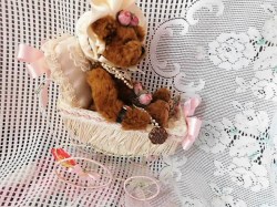 bear carriage side